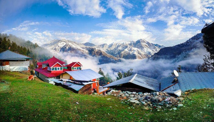 Honeymoon in Shimla and Manali